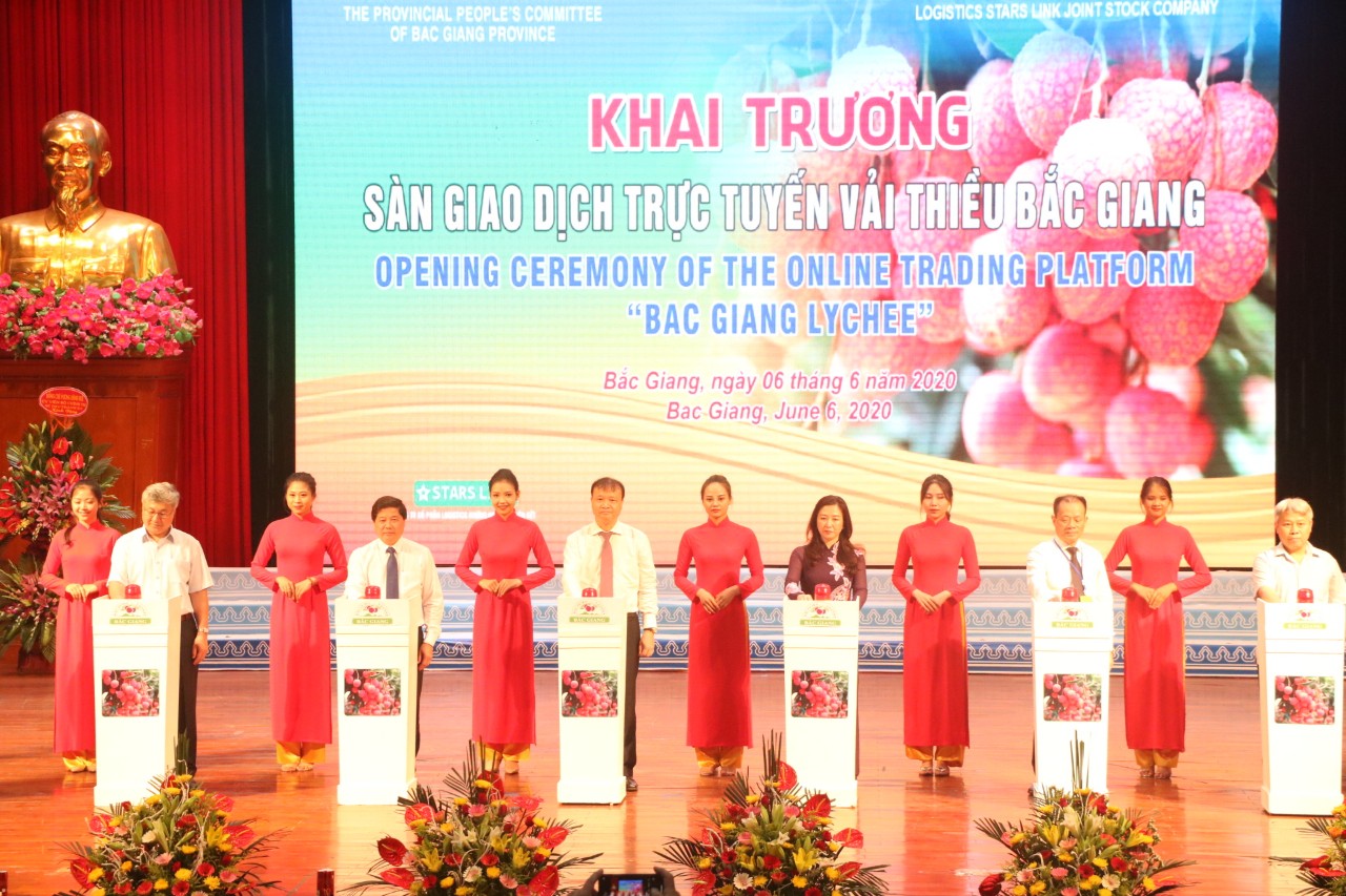 Bac Giang promulgates the plan to organize the promotion and consumption of lychee in 2021.