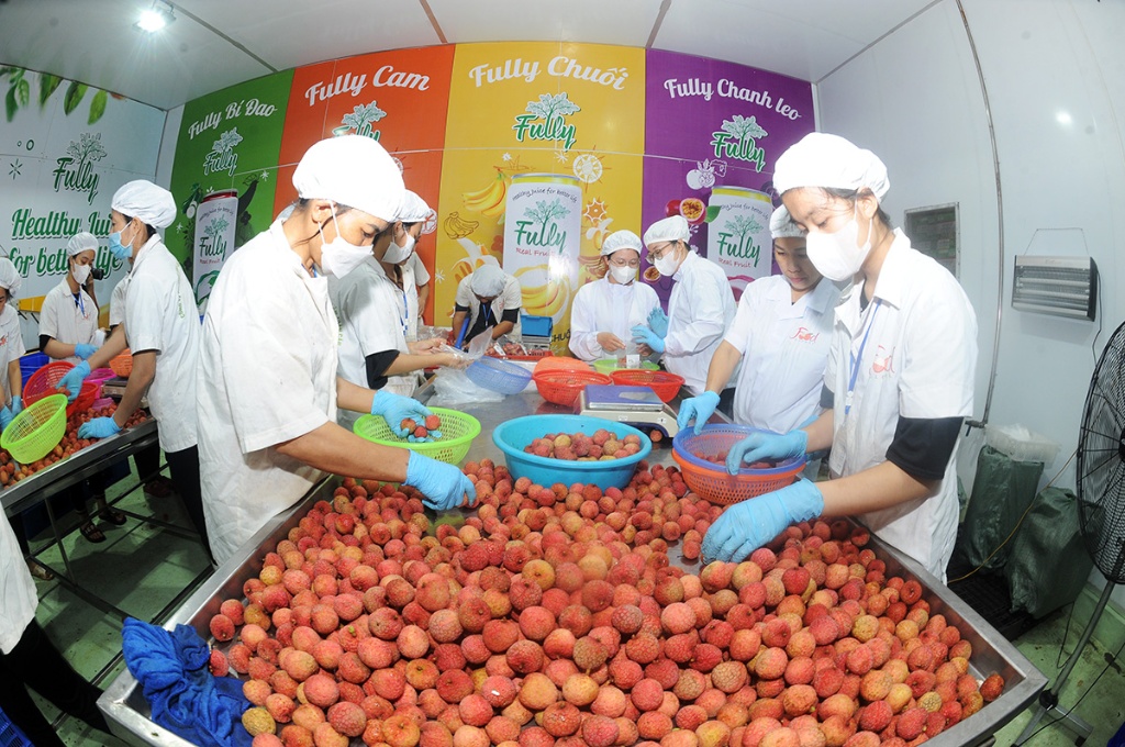 Bac Giang’s agriculture: to develop import-export market for sustainable growth
