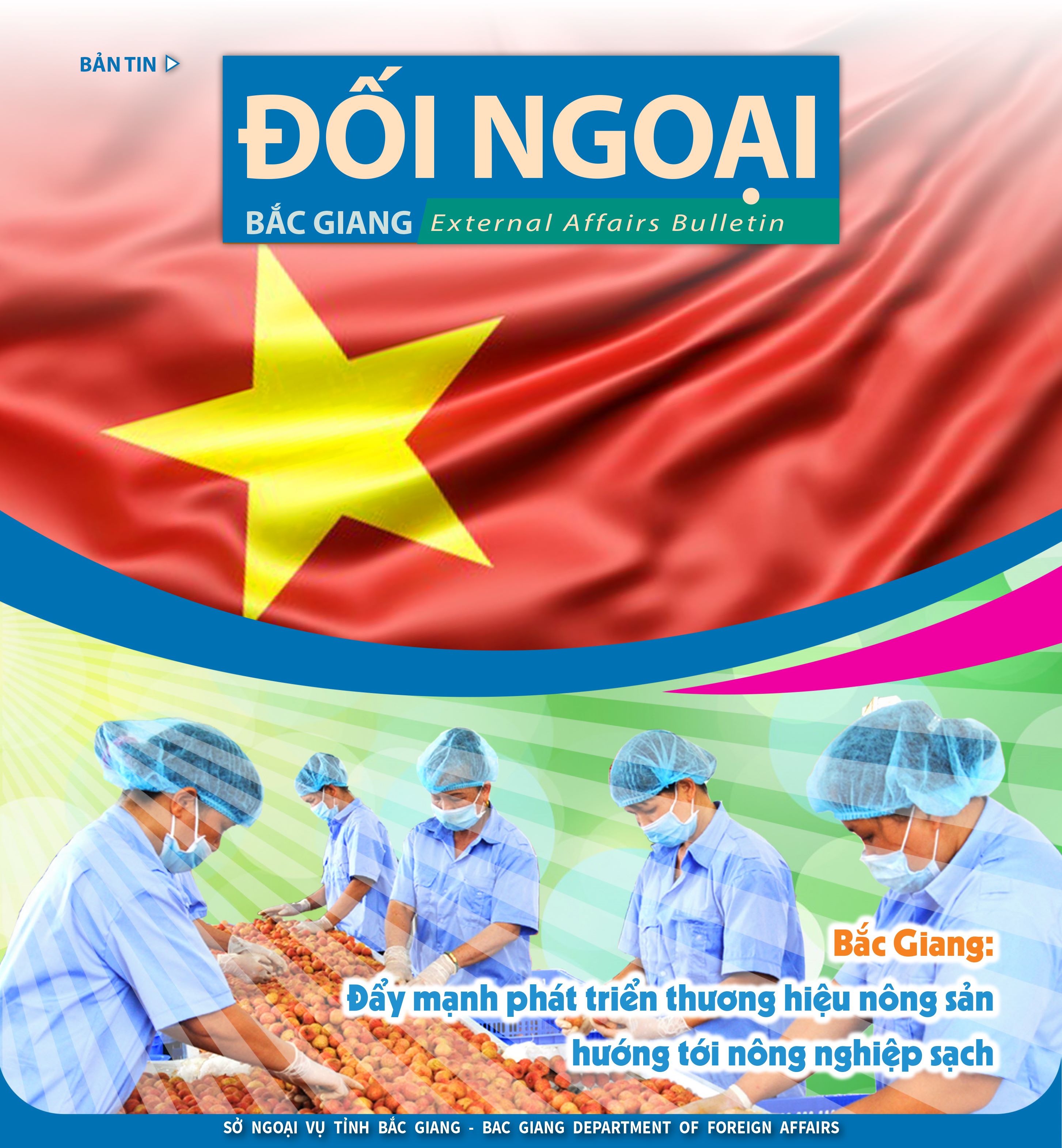 Bac Giang External Bulletin No 19